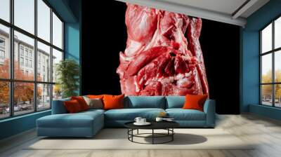 Studio lighting. dark background. a piece of meat is suspended on a hook. Close-up Wall mural