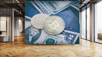 two coins bitcoin lie on two bucks. Bitcoin drop to such a low price. collapse failure. Wall mural