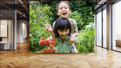 Two young girls are happy and enjoyable with her fruits, Asian girls hold ripe rambutans in the orchard background Wall mural