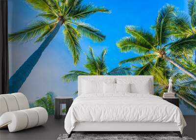 Beautiful tropical nature with coconut palm tree on blue sky and white cloud Wall mural