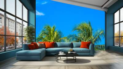 Beautiful tropical nature with coconut palm tree on blue sky and white cloud Wall mural