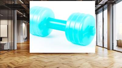 Dumbbell Wall mural