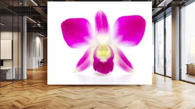 Purple orchid flower isolated white background Wall mural