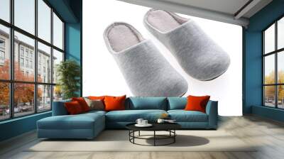 Slipper or Shoe for use in home Wall mural