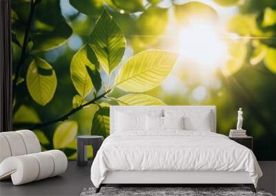 Sunlight-Illuminated Green Leaves in Forest Wall mural