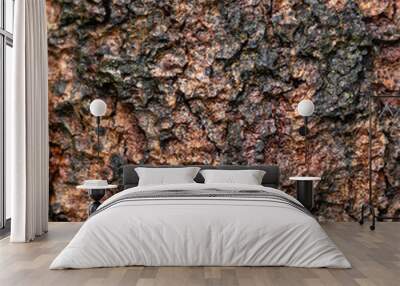 Bark pattern is seamless texture from tree. For background Wall mural