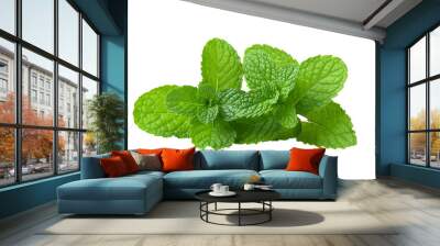 Mint leaves isolated on transparent png Wall mural