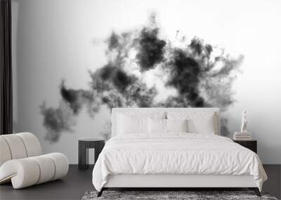 Cloud Isolated on white background,Smoke Textured,Abstract black Wall mural