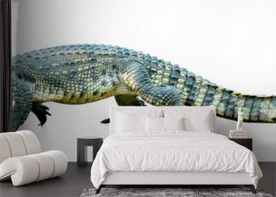 crocodile isolated on white background ,include clipping path Wall mural