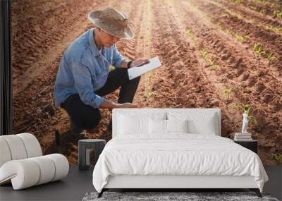 Agronomist Using tablet and Technology in Agricultural Corn Field . Farmer walking in corn field with  tablet.Man farmer with laptop and walking on harvested corn field . Wall mural