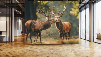 Two red deer cervus elaphus standing close together and touching noses in the forest in nature in summer A pair of wild animals look at each other in the forest. Deer and deer smell in the wilderness. Wall mural