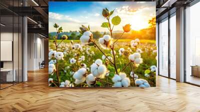 Delicate white cotton blooms swaying gently in a warm breeze, surrounded by lush greenery, amidst a serene and peaceful rural summer landscape atmosphere. Wall mural