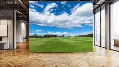 Panorama of sky clouds and grass on meadow in summer Wall mural