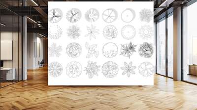 Top view and side view, set of graphics trees elements outline symbol for architecture and landscape design drawing. Vector illustration Wall mural