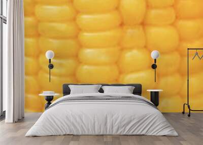 fresh ears of corn placed vertically on white background. Wall mural