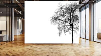 Leafless  trees  the dark leaving an eerie scene ;Silhouette of scary Halloween tree background  back side. Wall mural