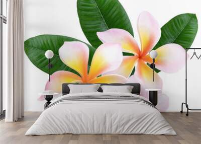 Plumeria, frangipani flowers isolated on transparent. Wall mural