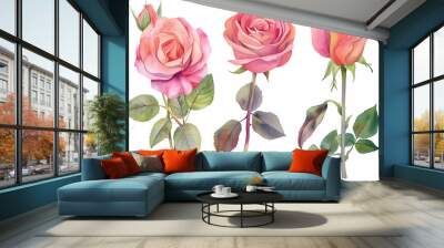 Set of watercolor roses. collection garden pink flowers, leaves, branches, Botanic isolated on white background. --ar 3:2 Wall mural