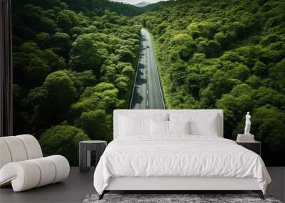 Aerial photography. Green forest and asphalt road. Top view. Forest road through the forest. Ready for a car adventure ecological environment healthy environment road trip Wall mural