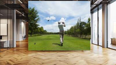 widely golf  course in very nice day summer with player Wall mural