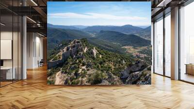 Cathar castle of Peyrepertuse and town of Duilhac in Languedoc, France Wall mural