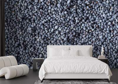 Texture of blue poppy seeds Wall mural