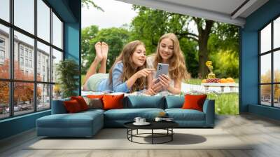 Two cute blonde girls lie in the park on a blanket on the grass, holding the phone in hands, browsing the news feed. Girls on a picnic chatting, touching the phone screen, scrolling and swiping Wall mural