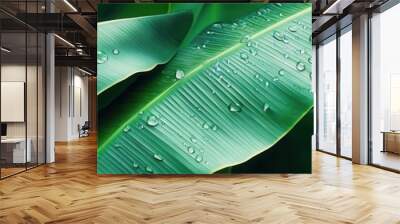 close-up banana leaves with water droplets, tropical garden flat design, side view, botanical elegance, cartoon drawing, Split-complementary Color Scheme Wall mural