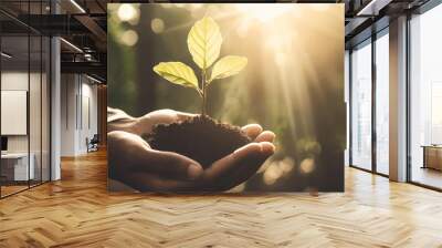 Hands holding young plant with sunlight on green nature background. concept eco earth day. Wall mural