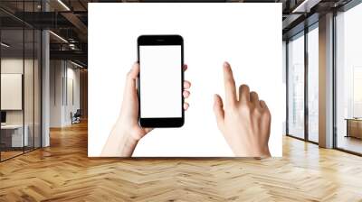 Hand holding smartphone blank screen on isolated. Wall mural