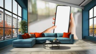 Hand holding smartphone mockup of blank screen, Take your screen to put on advertising. Wall mural