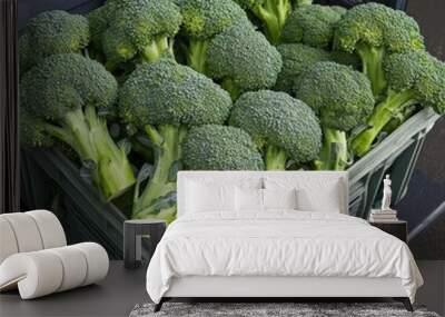 A fresh broccoli (Brassica oleracea), with bright green florets ready for market sale Wall mural