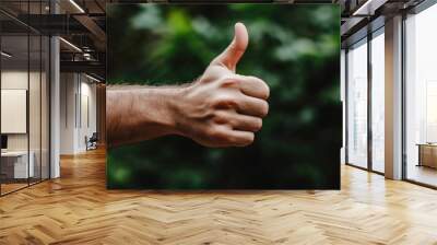 a hand giving a thumbs-up as positive feedback. Wall mural