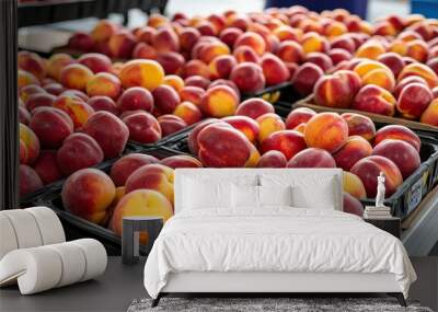 A market stand full of ripe, juicy nectarines (Prunus persica var. nucipersica), ready for eager customers Wall mural