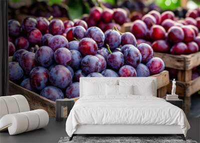 A market stand full of ripe plums (Prunus domestica), with deep purple skins and juicy flesh Wall mural