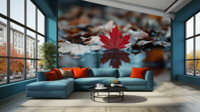 A single vibrant red maple leaf floating in a river filled with dull brown leaves Uniqueness concept Wall mural