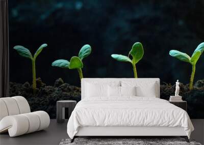 A time-lapse sequence of a seed germinating and growing into a young plant, capturing each stage of growth in vivid detail, with soil and moisture evident Wall mural