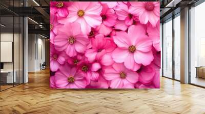 A vibrant display of pink cosmos, symbolizing peace and tranquility, perfect for wellness and summer campaigns Wall mural