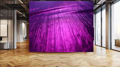 Purple velvet fabric texture used as background. Empty purple fabric background of soft and smooth textile material. There is space for text.... Wall mural