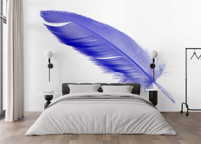 colorful purple feather isolated on white background, swan feather  Wall mural