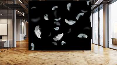 Feather abstract background, Soft white feathers floating in the dark, black background Wall mural