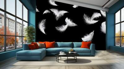 feather abstract background. solf white feathers falling down in the dark. Wall mural