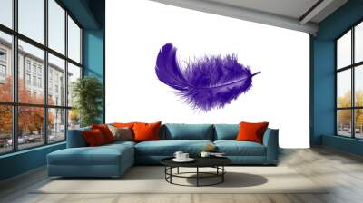 single purple feather isolated on white background Wall mural