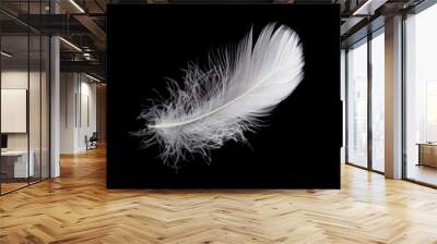 Soft single white feather isolated on black background Wall mural