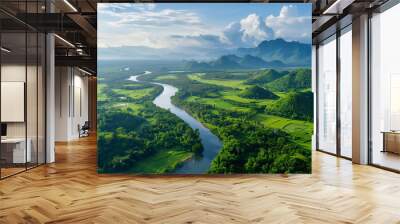 Aerial view of river tropical green forest southeast asia Wall mural