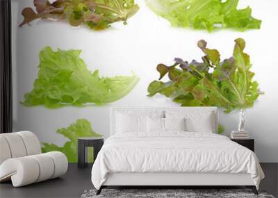 Fresh  lettuce leaves isolated on white background. Wall mural