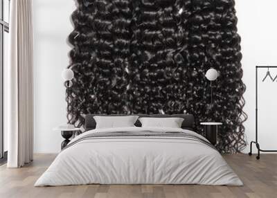 deep wave curly wet black human hair weaves extensions bundles Wall mural