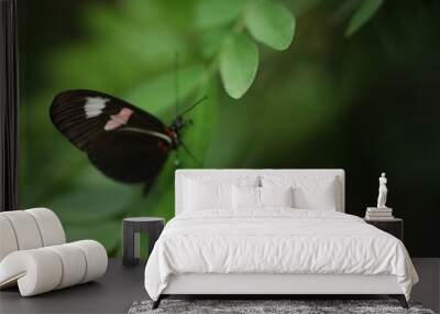 Butterfly Wall mural