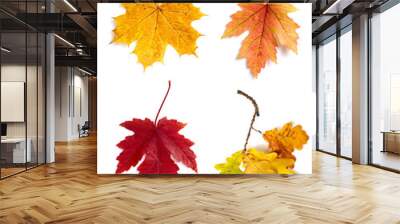 Autumn leaves isolated on white background Wall mural