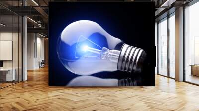 Photo of light bulb on black background. Wall mural